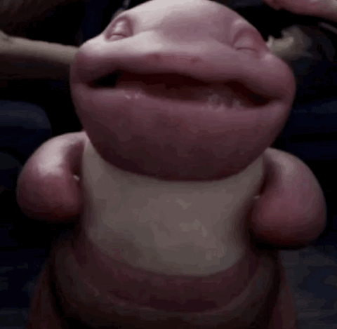 [Image: giphy.gif]