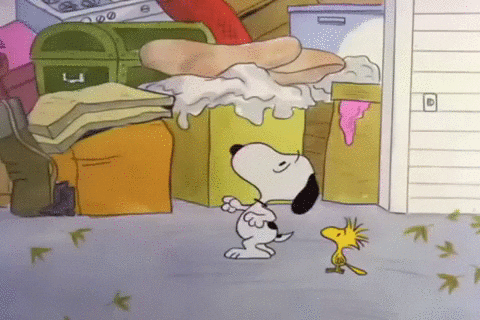 charlie brown thanksgiving GIF by Peanuts