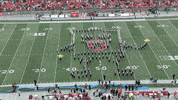 Ohio State Buckeyes Spongebob GIF by Ohio State Athletics