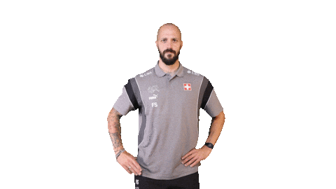 Switzerland Fabio Sticker by Swiss Football Association