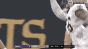 2019 Nfl Football GIF by NFL