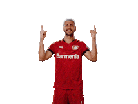 Swipe Up Bayer 04 Sticker by Bayer 04 Leverkusen
