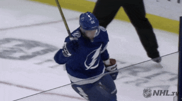 Celebrate Ice Hockey GIF by NHL
