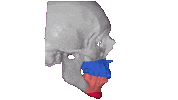Skull Lion Sticker by drnelsonleon