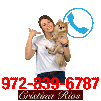 Fort Worth Auto Sticker by NB Motors