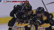 nhl sports sport hockey nhl GIF