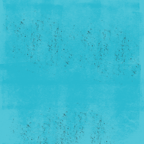 willworks giphyupload GIF