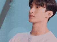 Dk 세븐틴 GIF