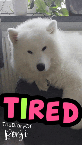 Tired Moe GIF