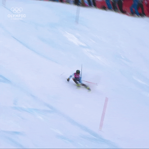 GIF by Olympics