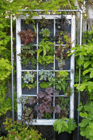 garden GIF