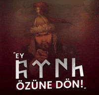 Fatih Sultan Mehmet Turkish GIF