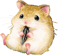 Hamster Eating Sticker