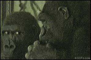 something GIF