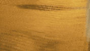 Sean Flanagan Lockdown GIF by FoilArmsandHog
