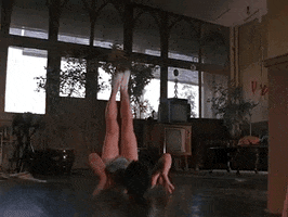 GIF by Warner Archive