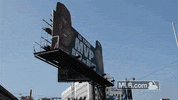 usa omg GIF by MLB