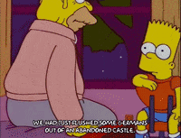 bart simpson episode 22 GIF