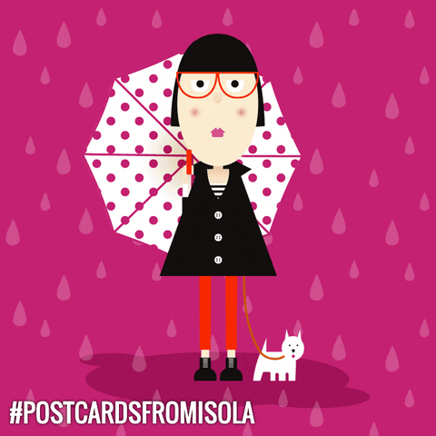 postcardsfromisola giphyupload dog style rain GIF