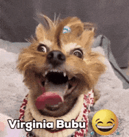 Durbek GIF