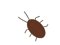 G Insect Sticker