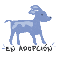 Psv Adopta Sticker by Chemisette