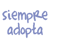 Psv Adopta Sticker by Chemisette