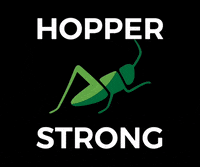 gdshoppers school athletics gds schoolspirit GIF