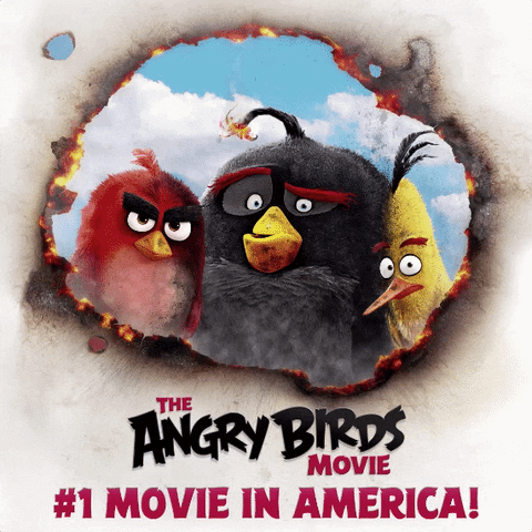 GIF by Angry Birds