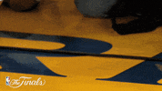 golden state warriors dribbling GIF by NBA