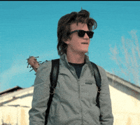 stranger things steve GIF