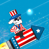 Independence Day Fireworks GIF by BoDoggos