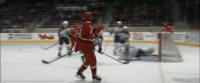 celebration checkers hockey GIF by Charlotte Checkers