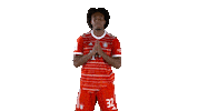 Football Hello Sticker by FC Bayern Munich