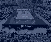Volleyball Confetti GIF by SSCPalmbergSchwerin