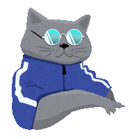 Cool Cat No Sticker