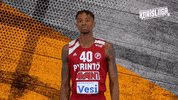 Sport Basketball GIF by Basket_fi