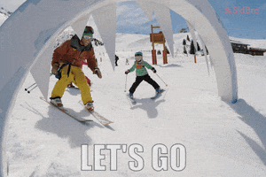 SkiBro skiing skibro GIF