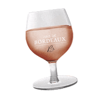 Rose Rosewine Sticker by Vins de Bordeaux