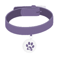 pet Sticker by MedterraCBD