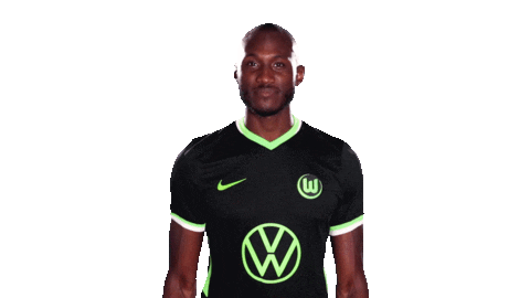 Social Media Sticker Sticker by VfL Wolfsburg