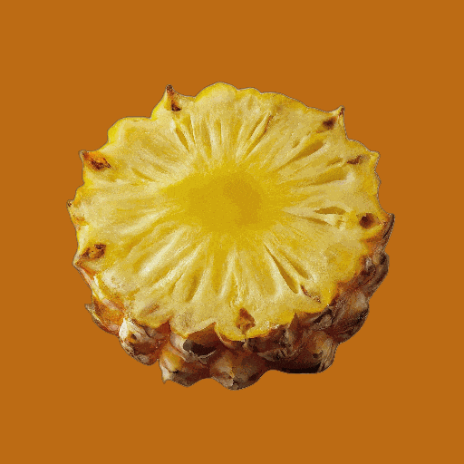 Summer Comida GIF