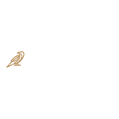 Hok Sticker by Corvinus HÖK