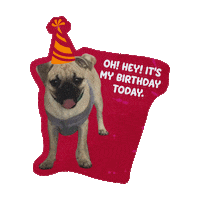Happy Dog Sticker by Awesome Pawsome Treats
