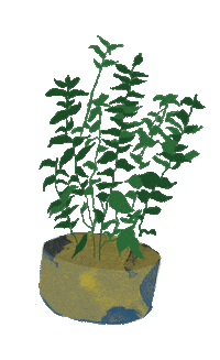 AbrieleSkaite illustration plants plant lady indoor plant Sticker