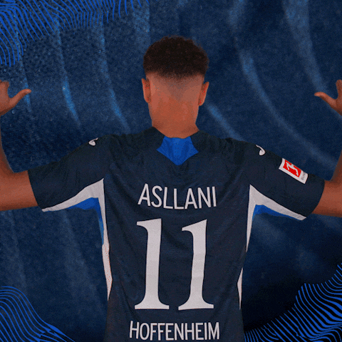 Sport Bundesliga GIF by TSG Hoffenheim