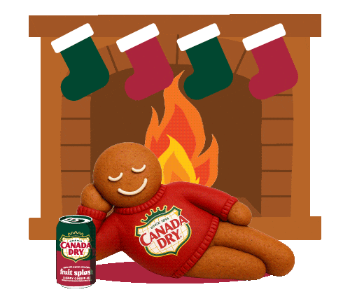 Fireplace Sticker by Canada Dry Ginger Ale