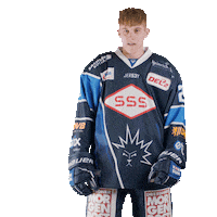 Dresden Del2 Sticker by Dresdner Eisloewen