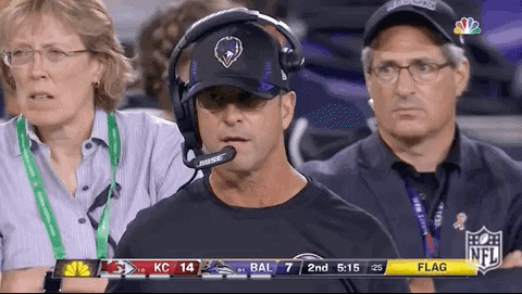 Baltimore Ravens Football GIF by NFL
