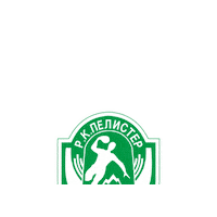 Sport Handball Sticker by SEHA